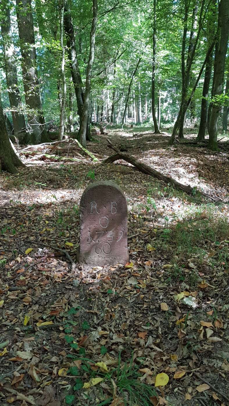 Grenzstein bei Rodenbach